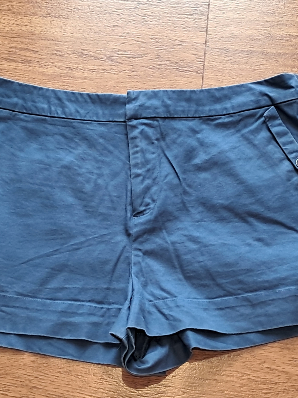 Kate Spade Navy Blue Casual Tailored Shorts